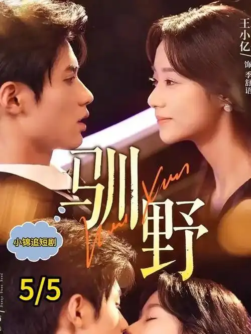 重生之我在韩娱当编剧 短剧在线观看